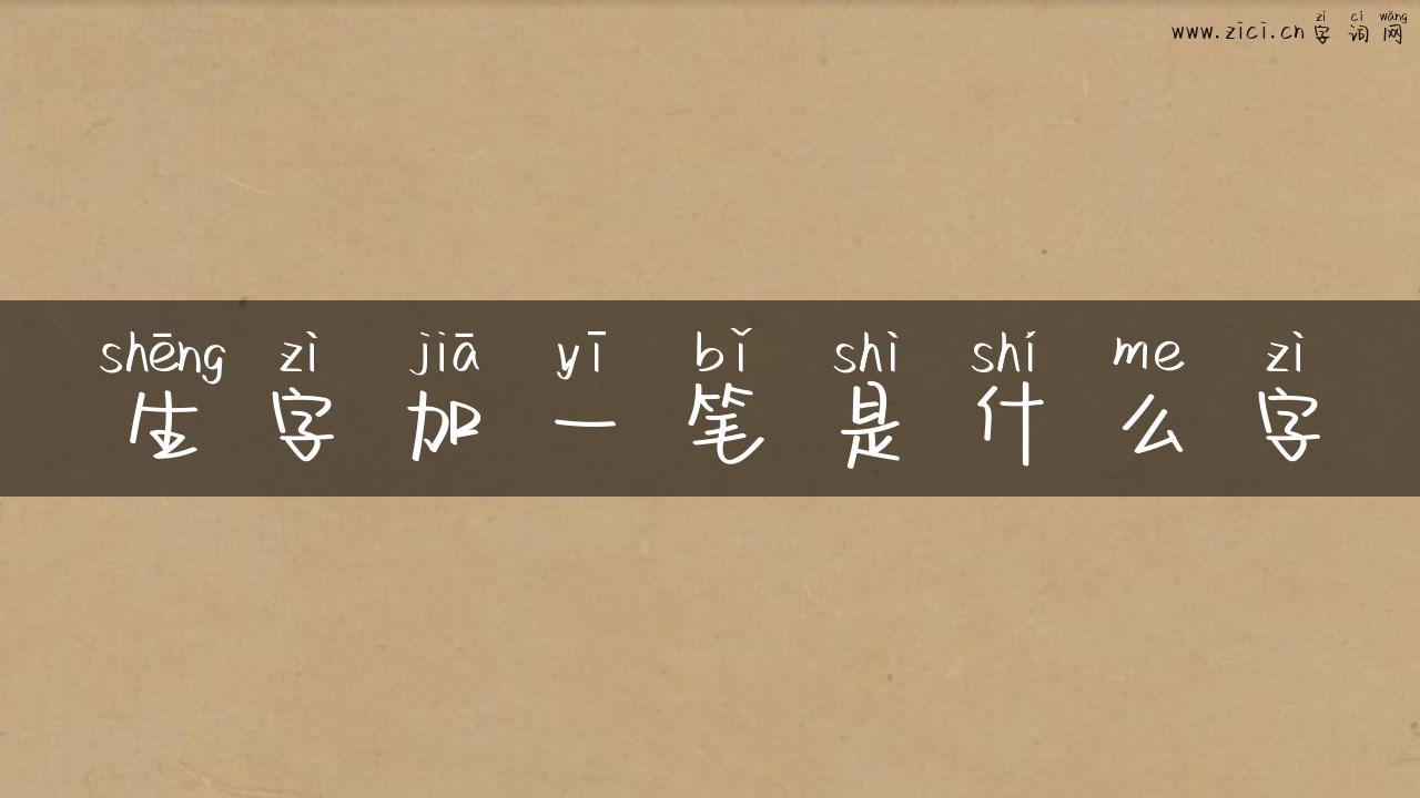 生字加一笔是什么字