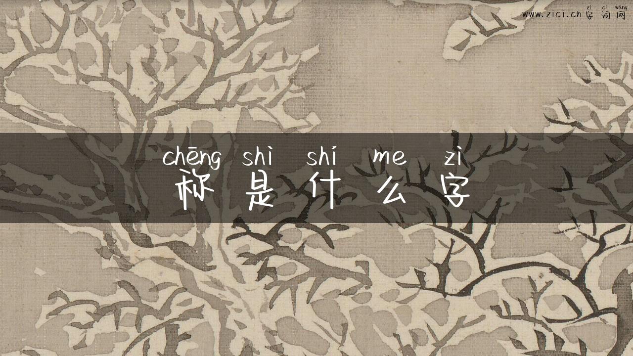 称是什么字