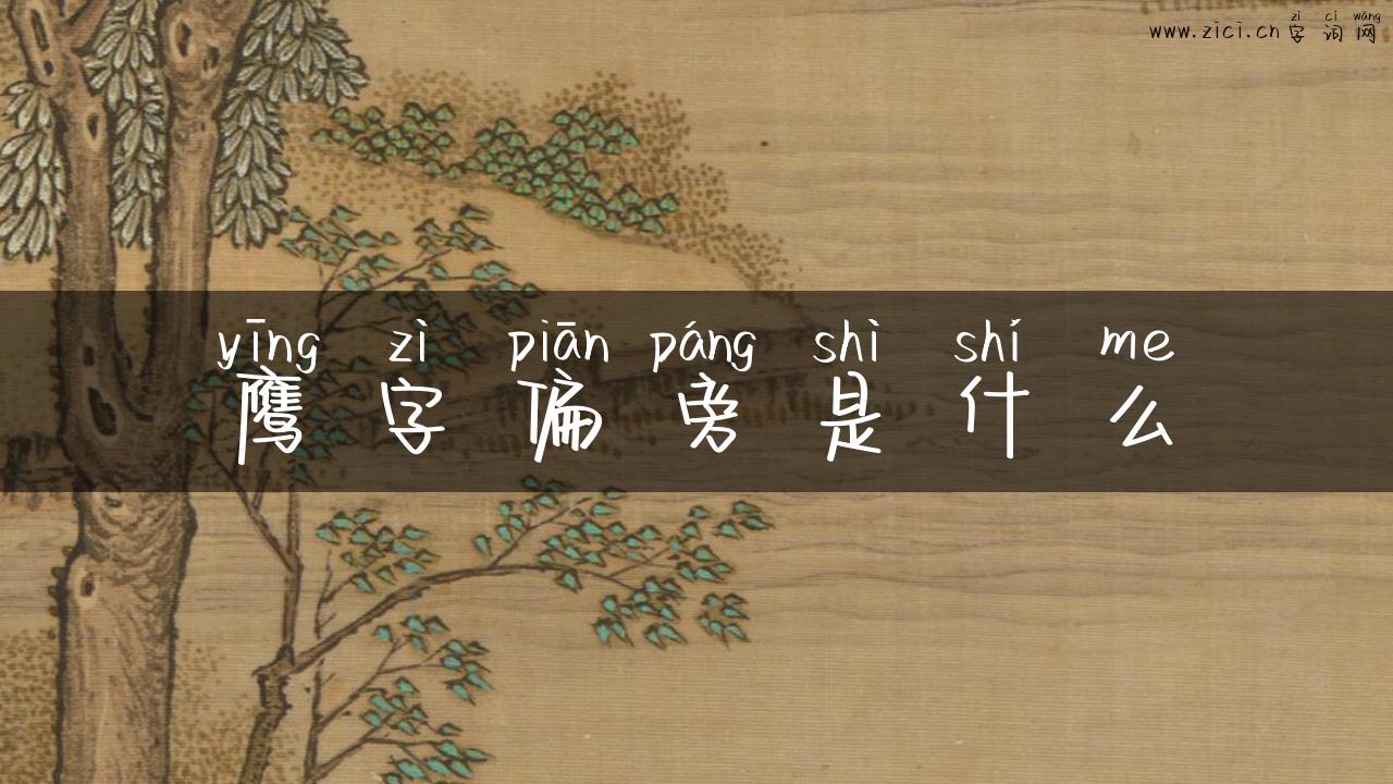 鹰字偏旁是什么