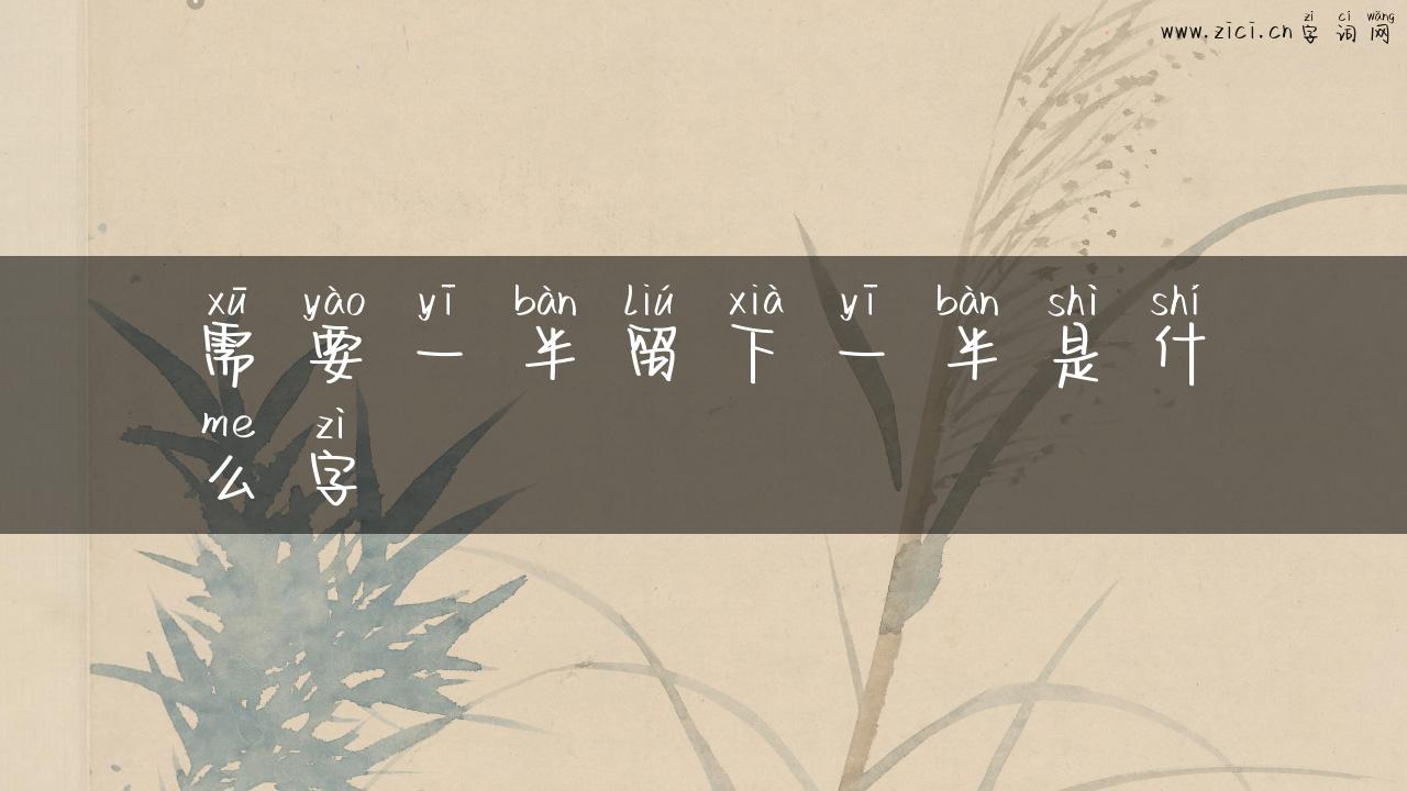 需要一半留下一半是什么字
