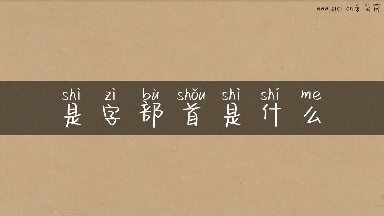 是字部首是什么