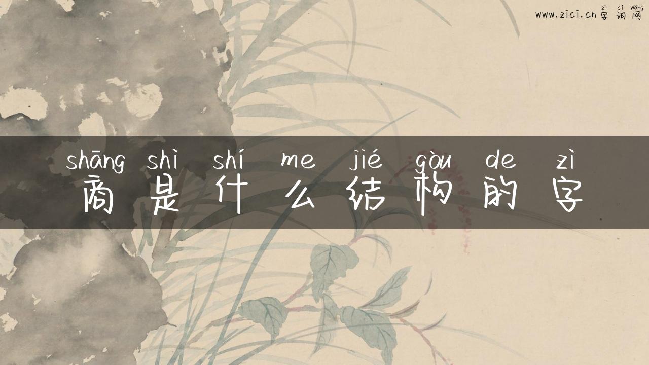商是什么结构的字