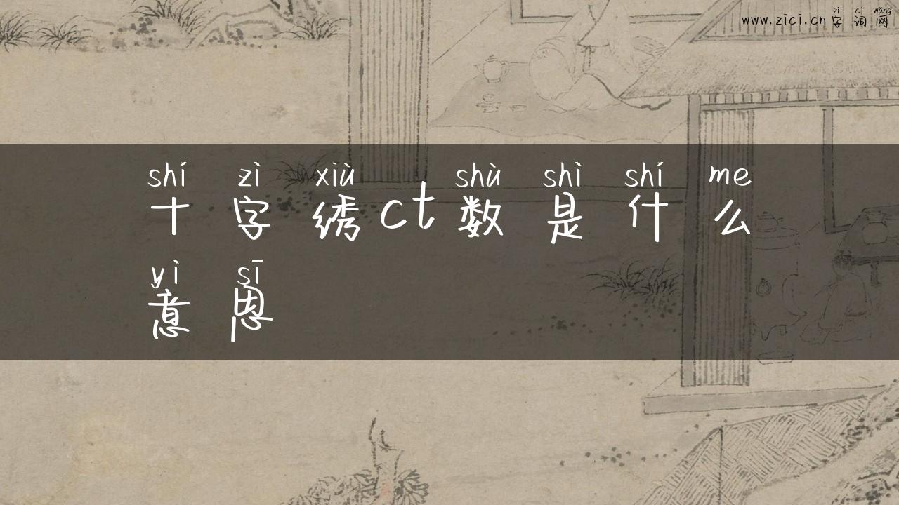 十字绣ct数是什么意思