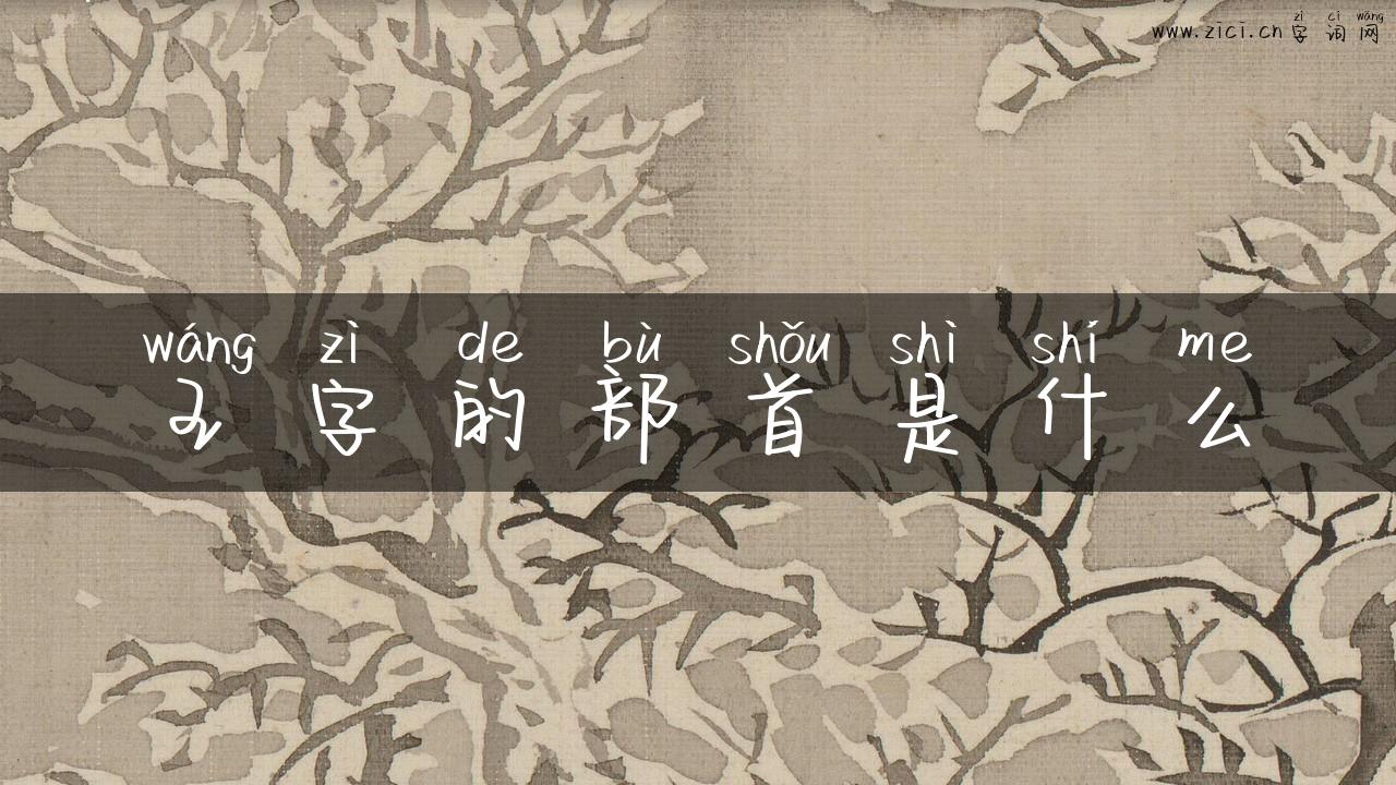 王字的部首是什么