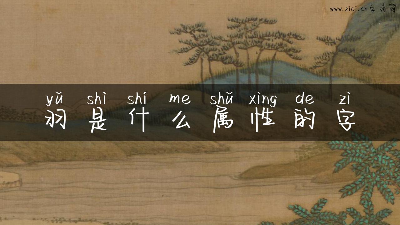 羽是什么属性的字