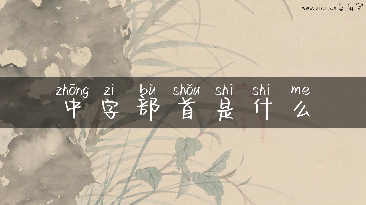 中字部首是什么