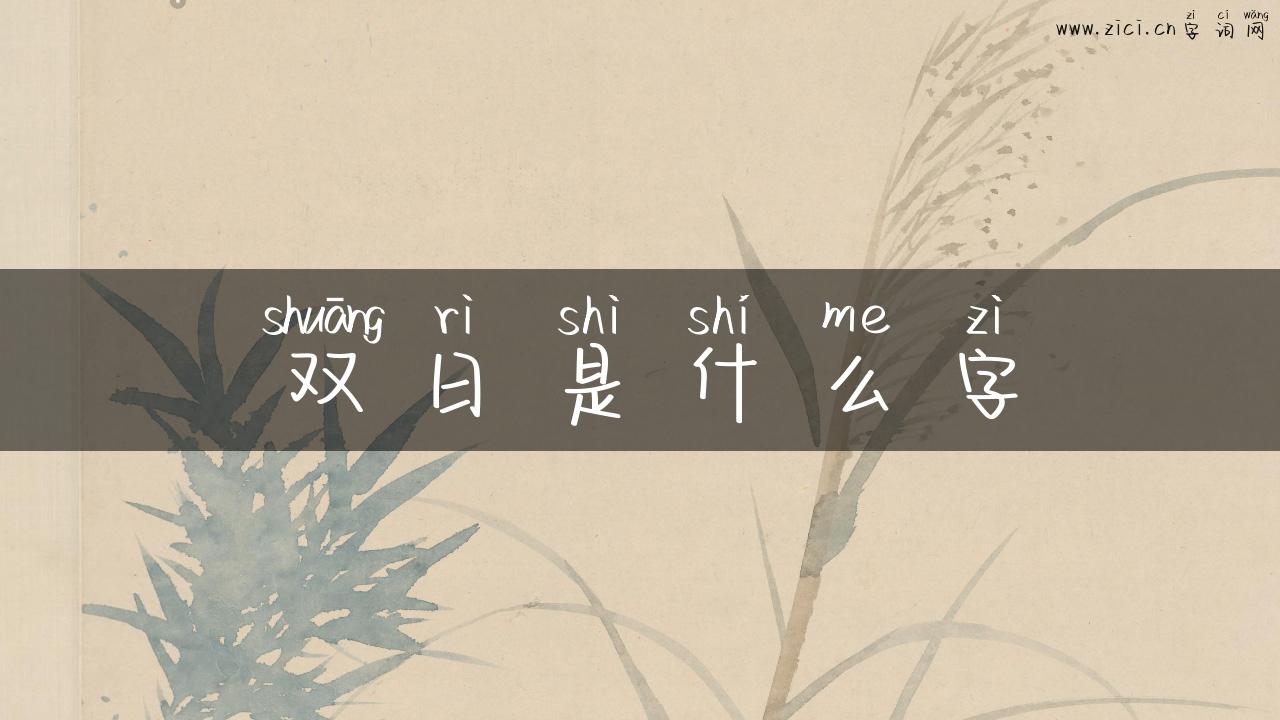 双日是什么字