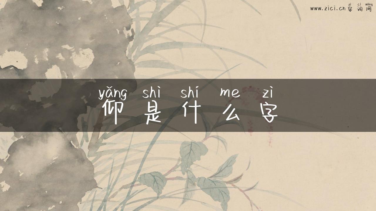 仰是什么字