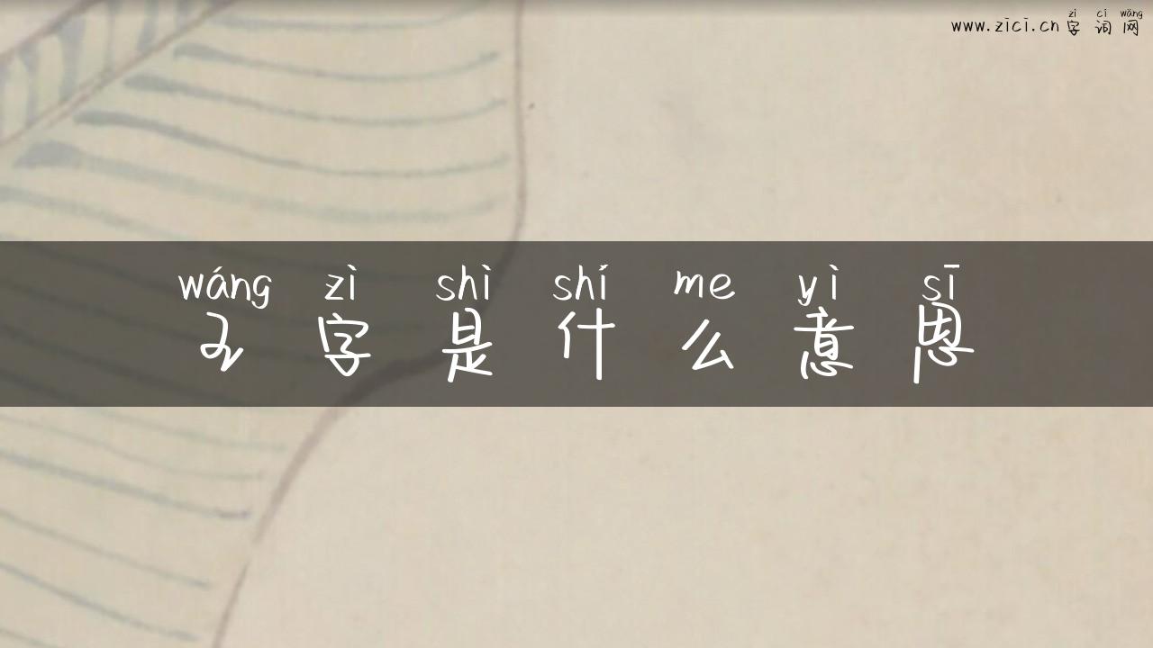 王字是什么意思