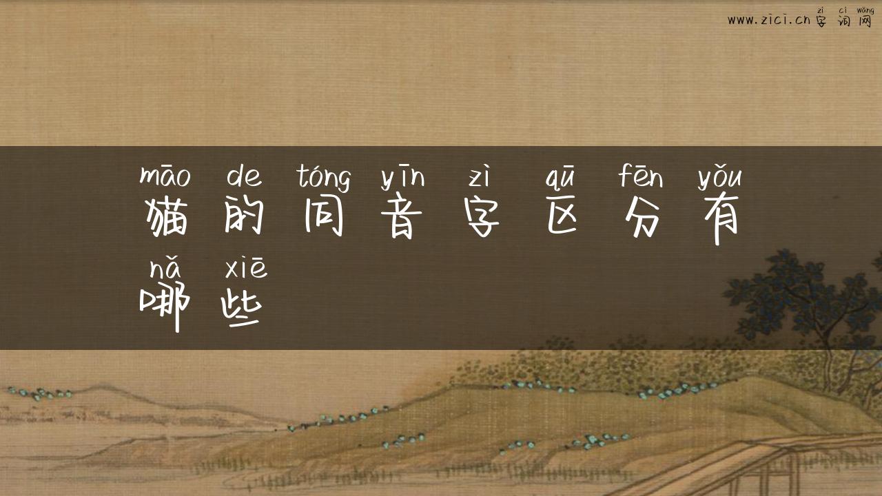 猫的同音字区分有哪些