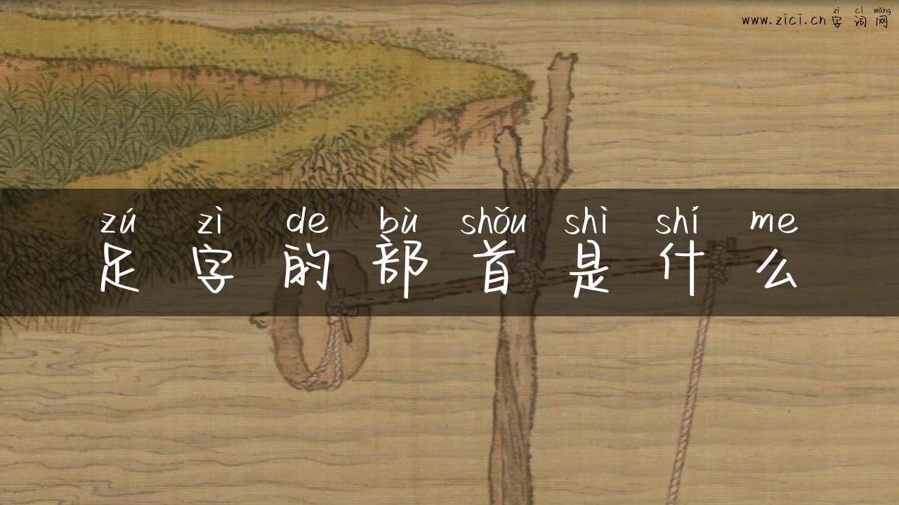 足字的部首是什么