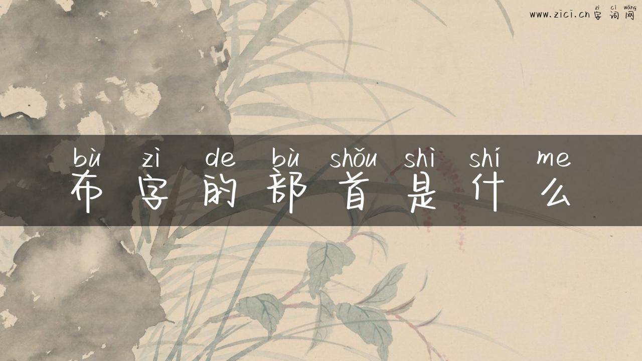 布字的部首是什么