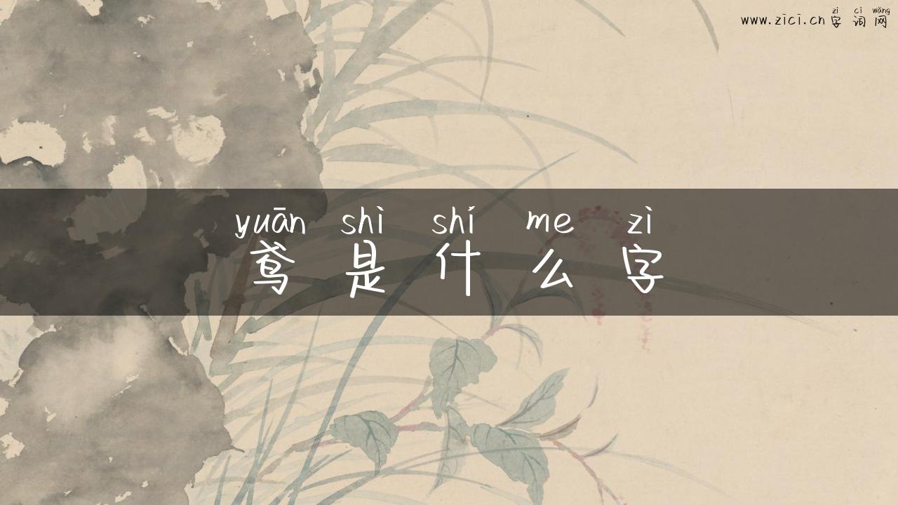 鸢是什么字