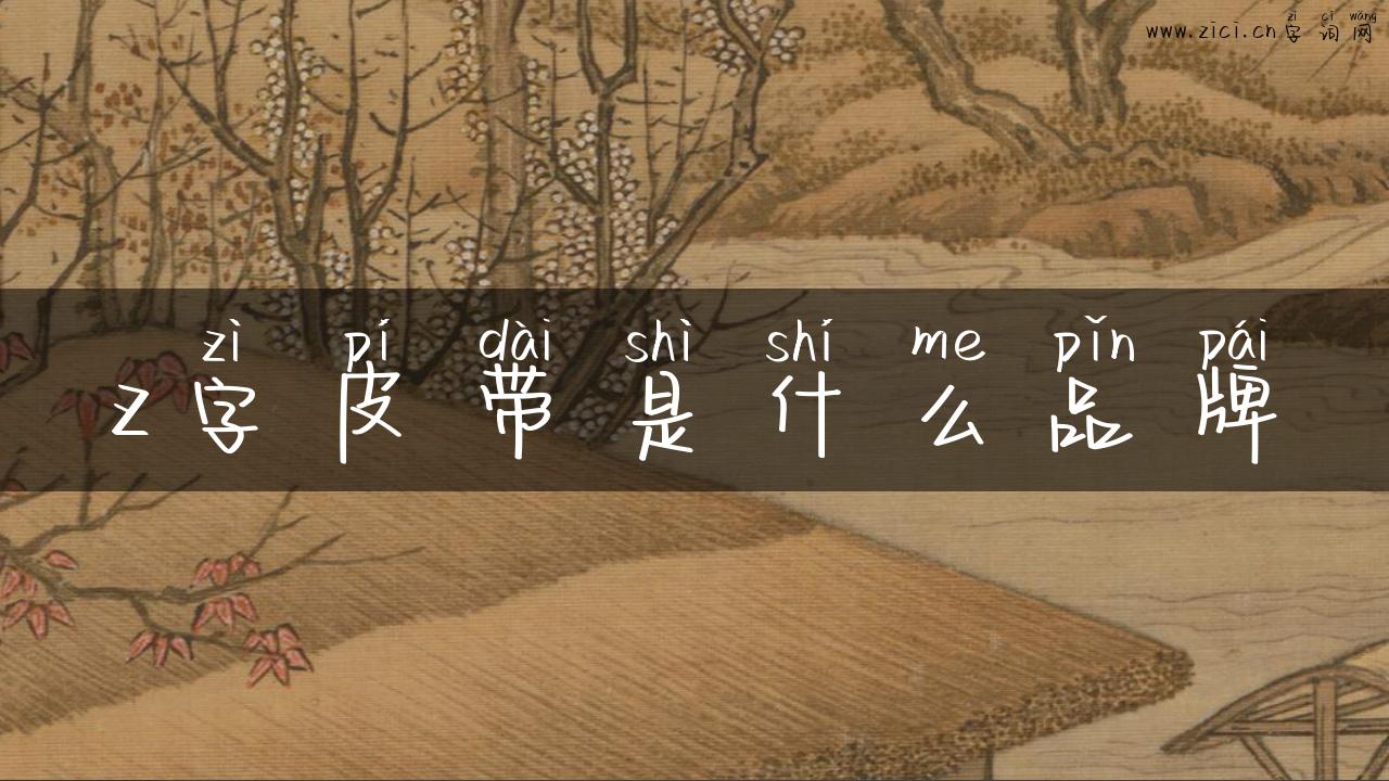 z字皮带是什么品牌