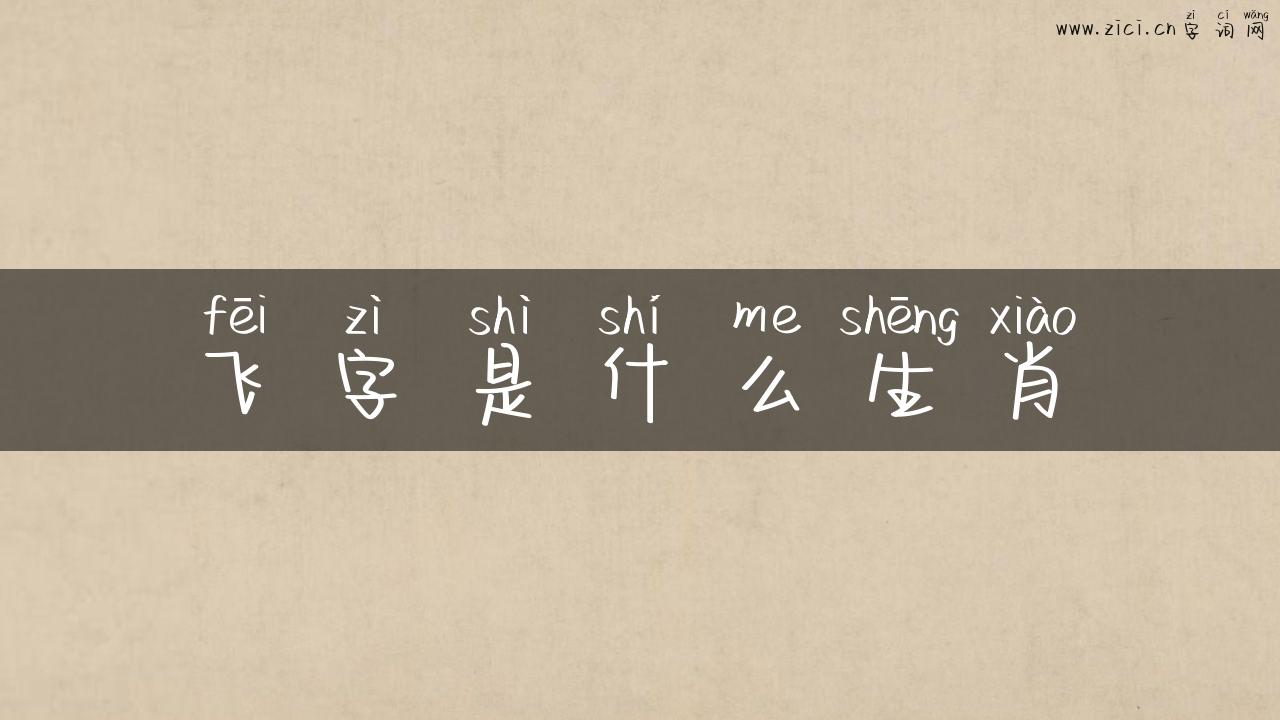 飞字是什么生肖