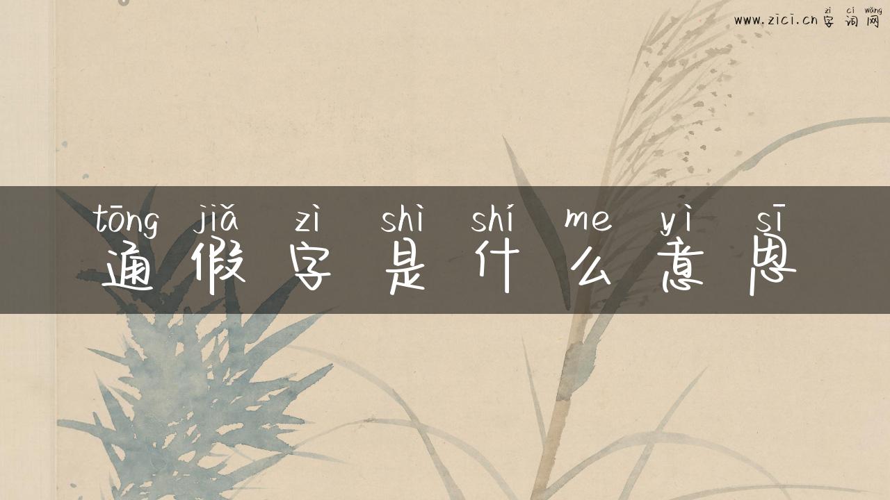 通假字是什么意思