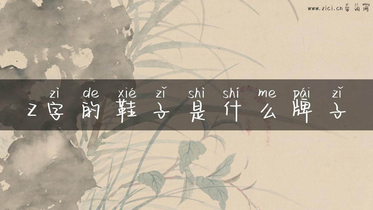 z字的鞋子是什么牌子