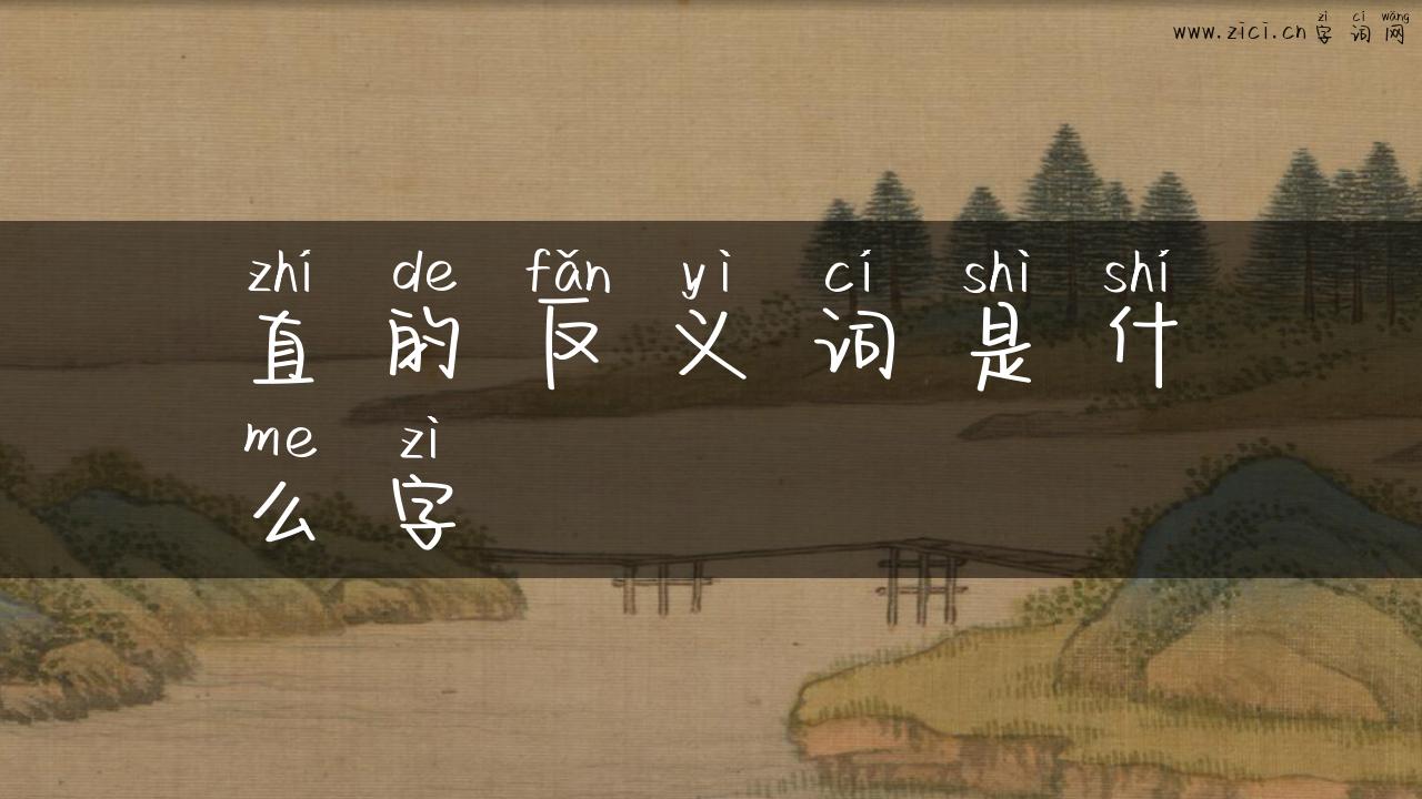 直的反义词是什么字