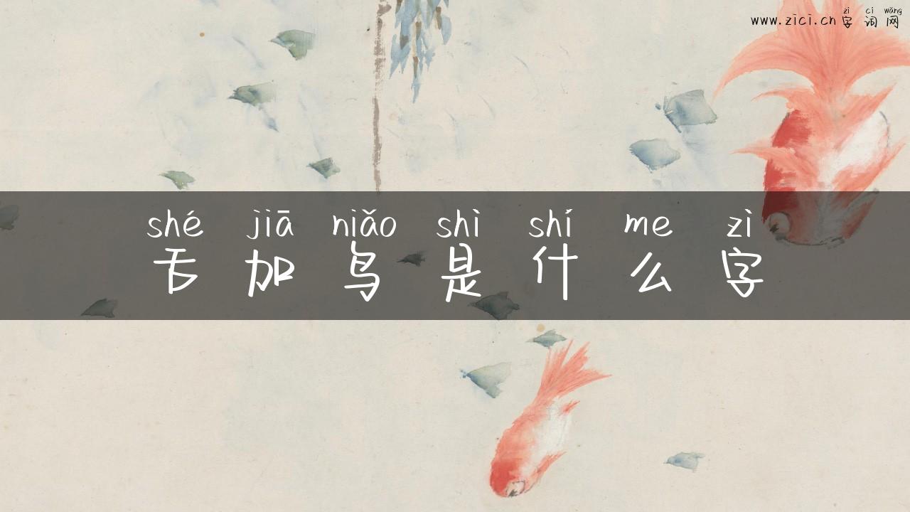 舌加鸟是什么字