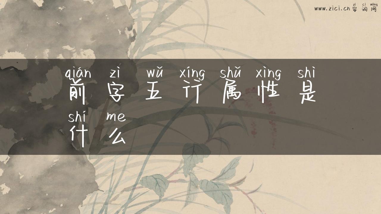 前字五行属性是什么