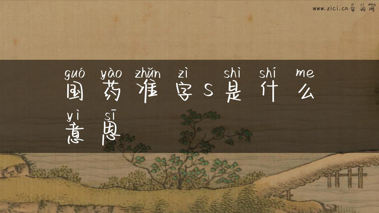 国药准字s是什么意思