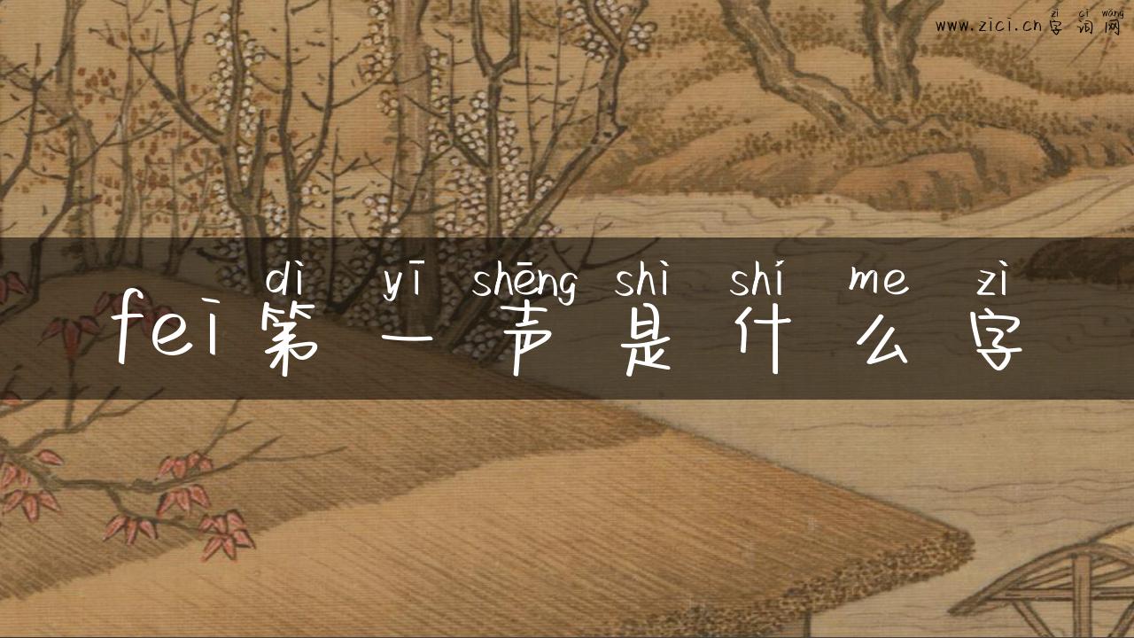 fei第一声是什么字
