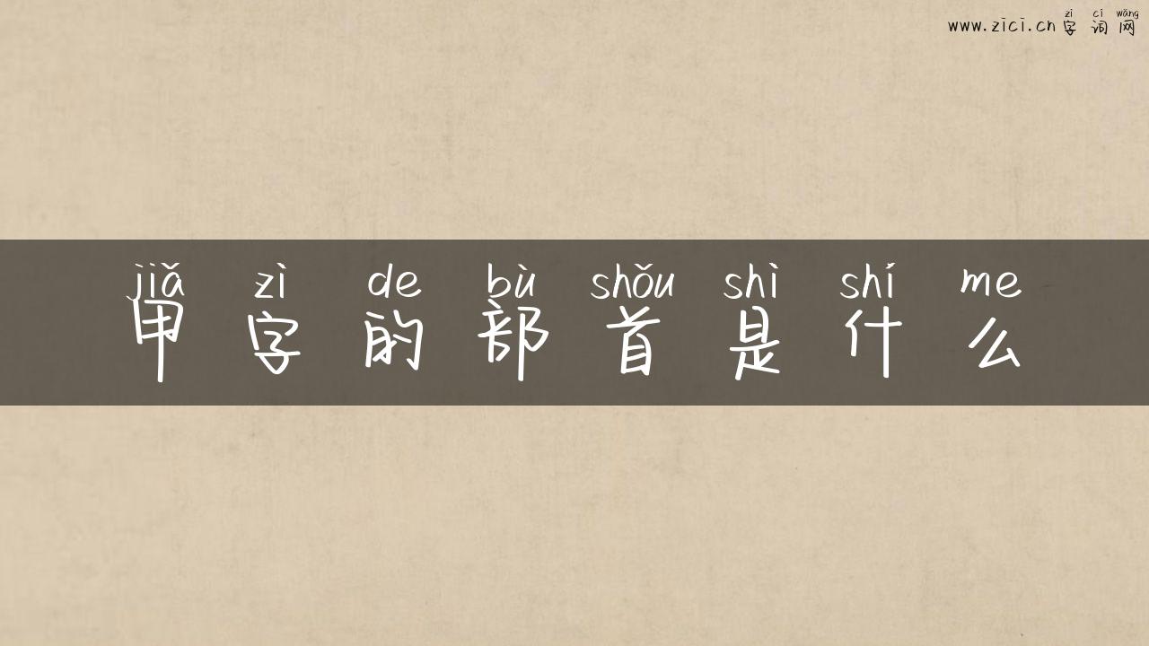 甲字的部首是什么