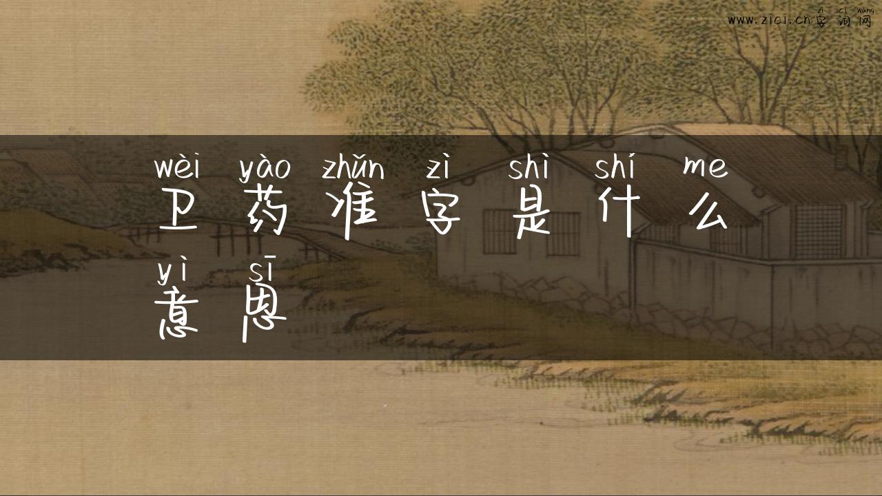 卫药准字是什么意思