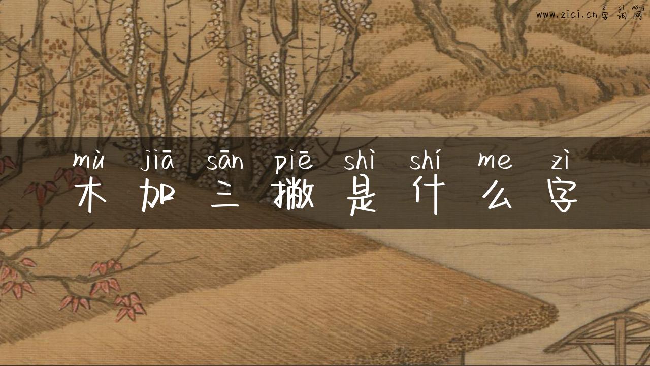 木加三撇是什么字