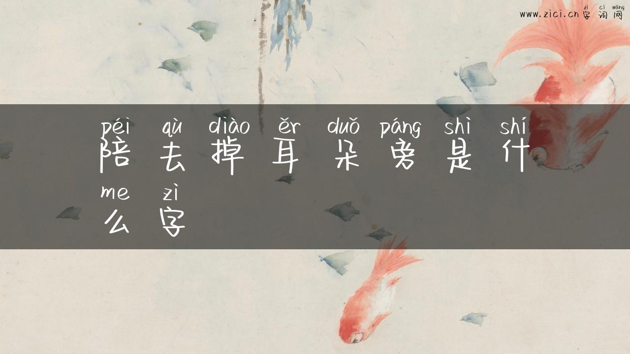陪去掉耳朵旁是什么字