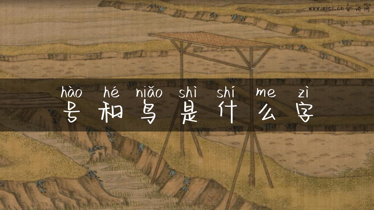 号和鸟是什么字