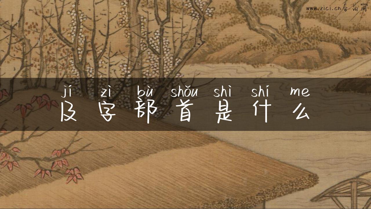 及字部首是什么