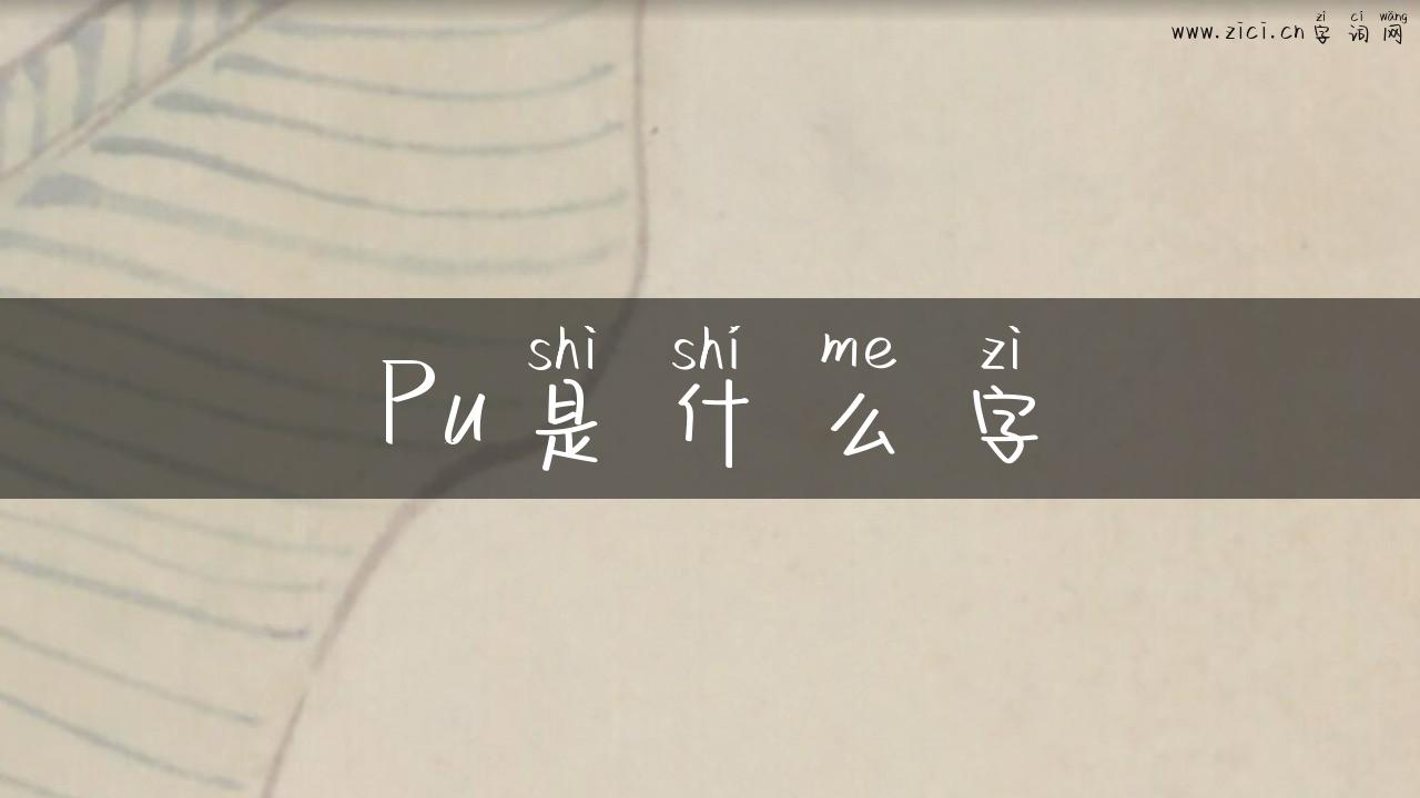 Pu是什么字