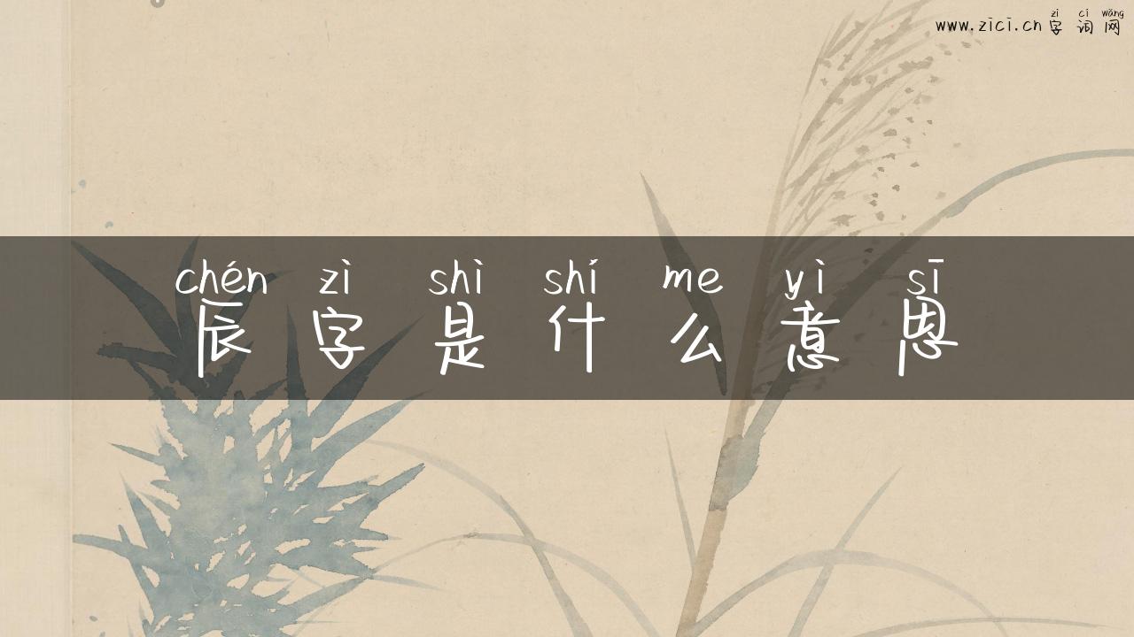 辰字是什么意思