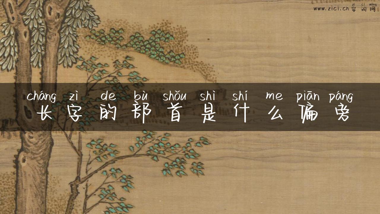 长字的部首是什么偏旁