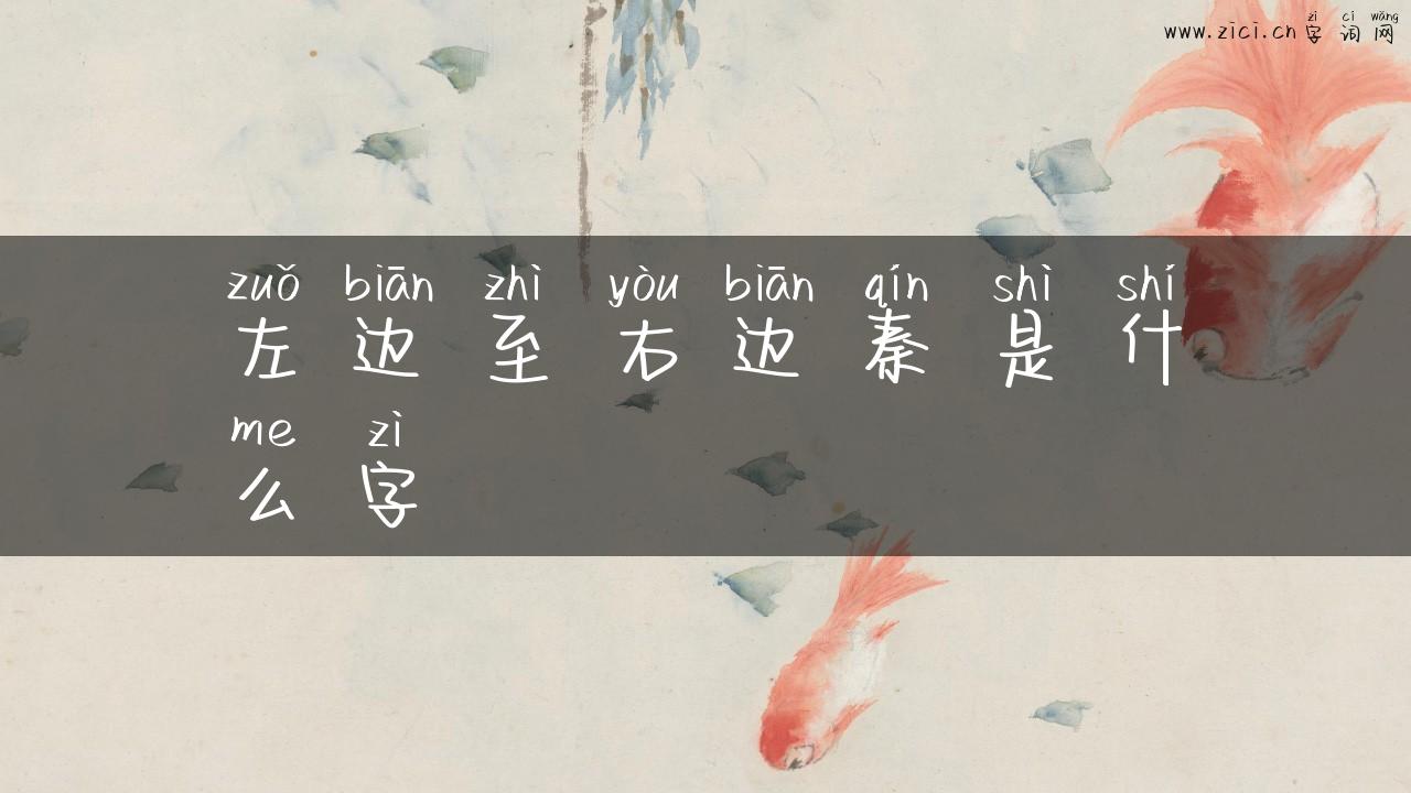 左边至右边秦是什么字