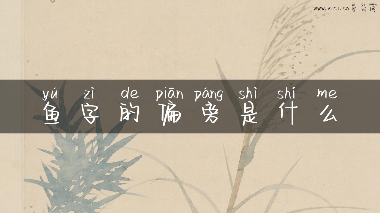 鱼字的偏旁是什么
