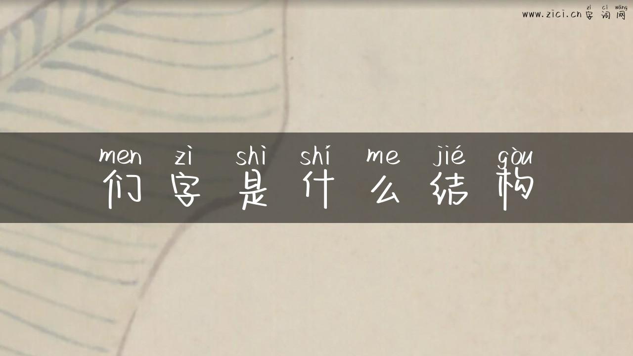 们字是什么结构