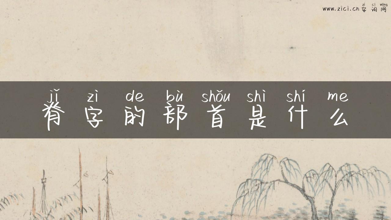 脊字的部首是什么