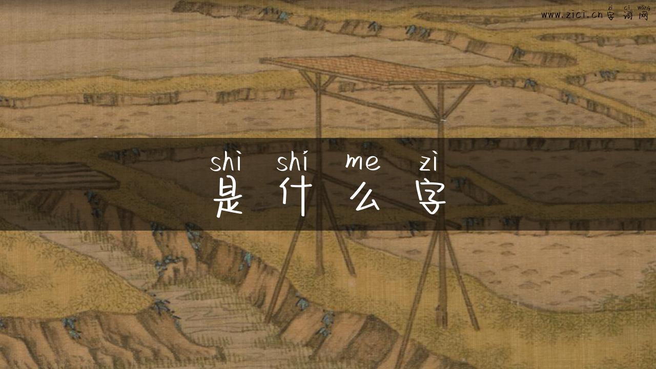 是什么字