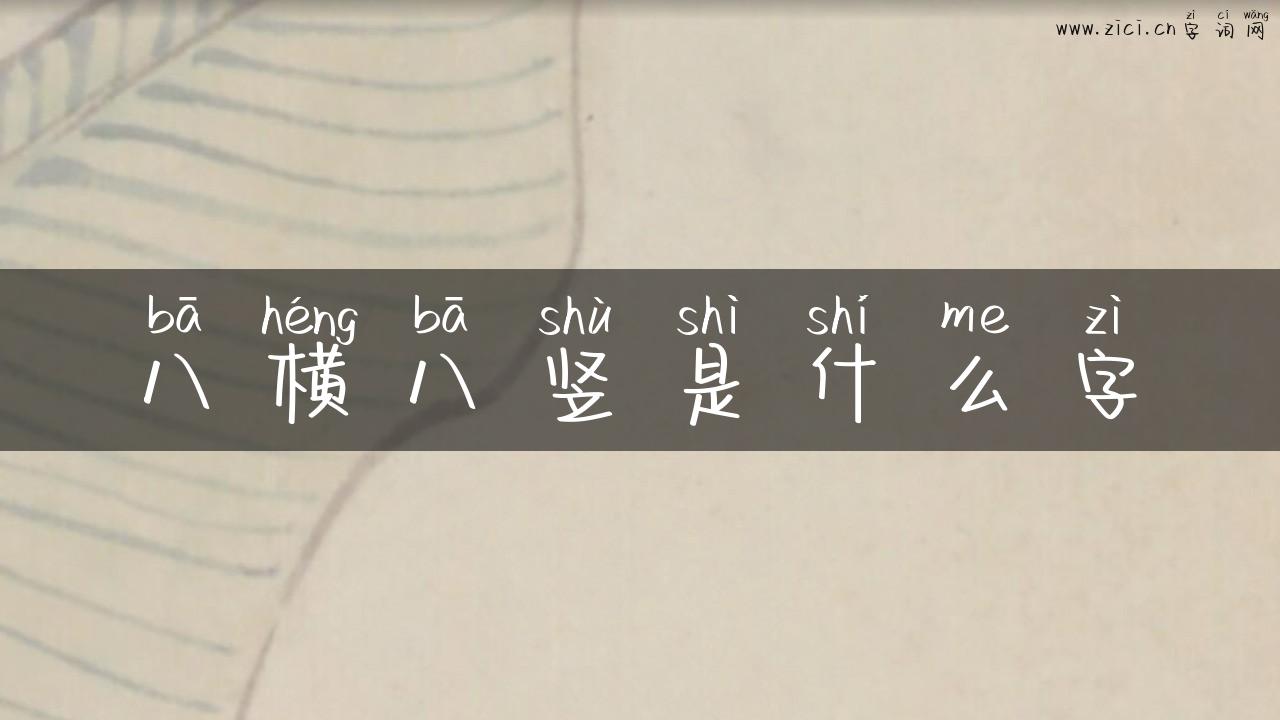 八横八竖是什么字