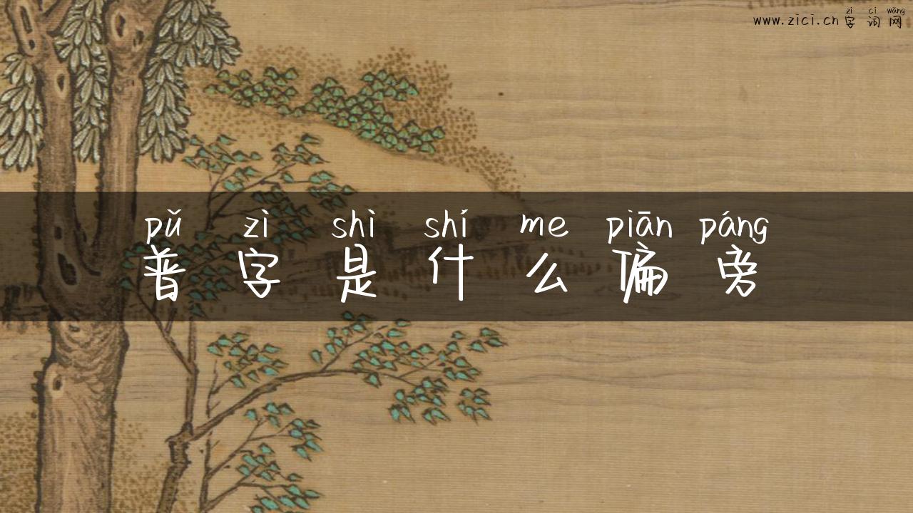 普字是什么偏旁