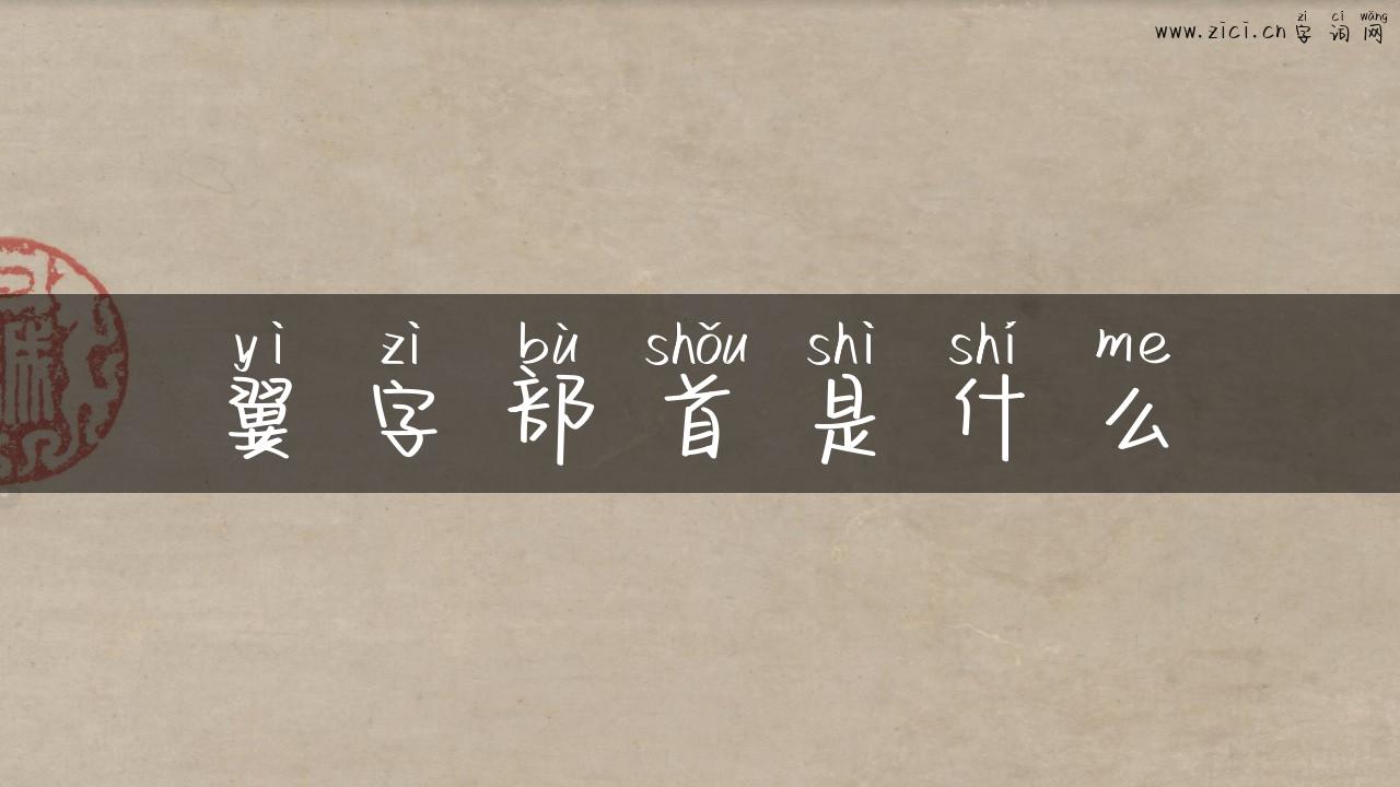 翼字部首是什么