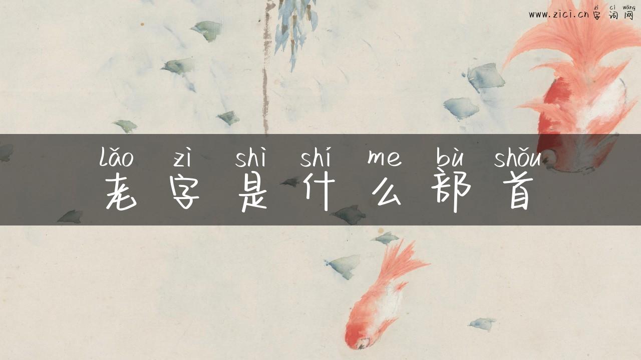 老字是什么部首