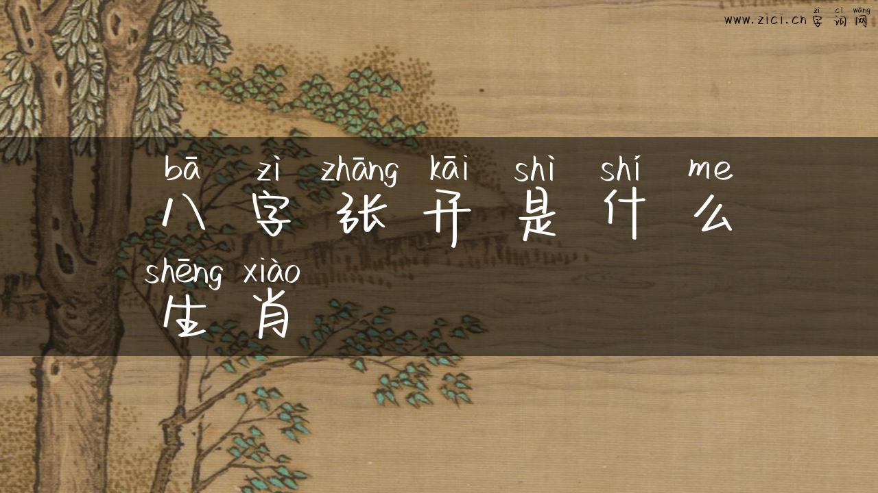 八字张开是什么生肖