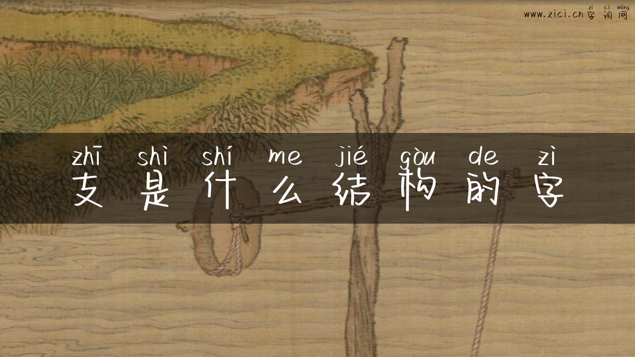 支是什么结构的字