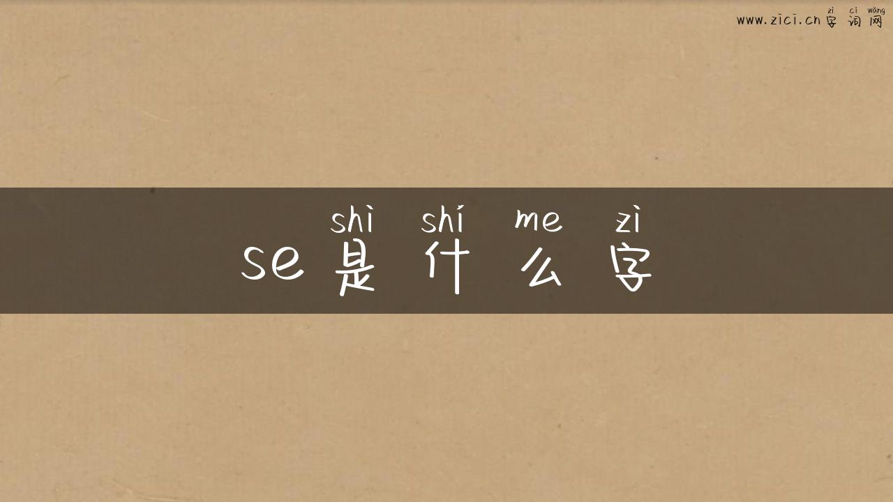 se是什么字