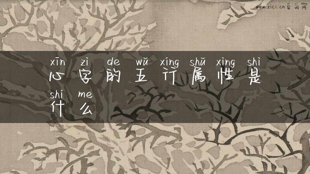 心字的五行属性是什么