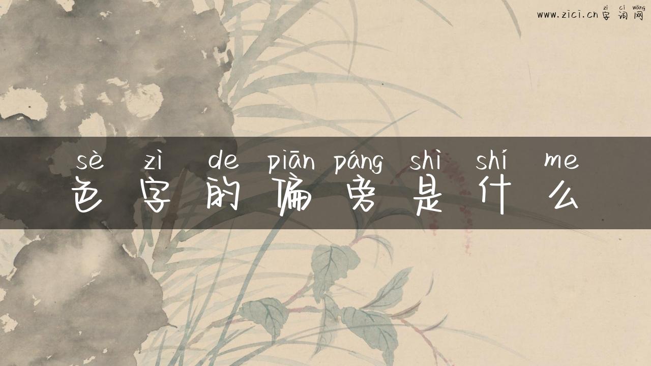 色字的偏旁是什么