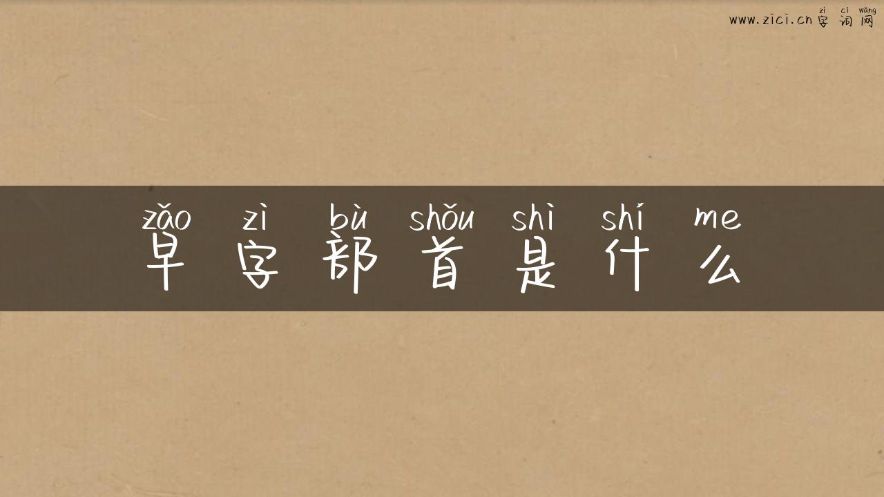 早字部首是什么